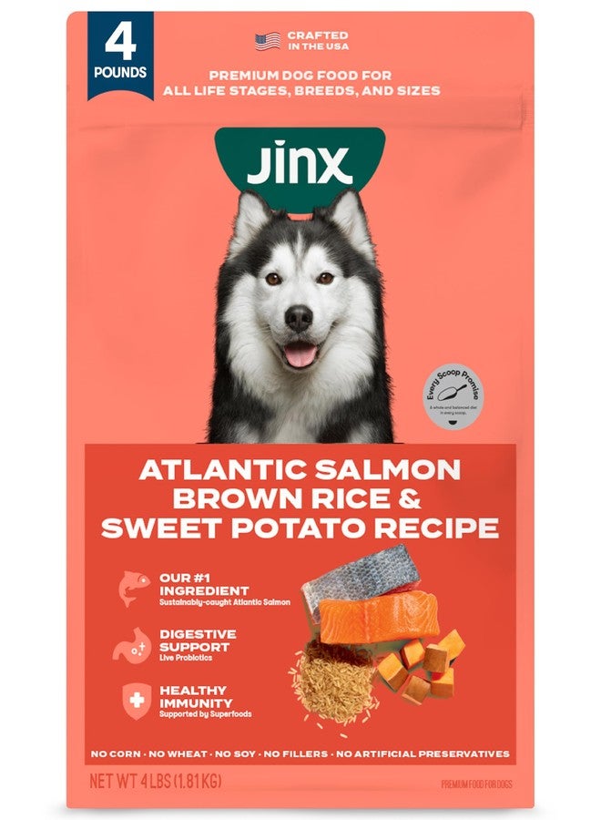 Jinx Premium Dry Dog Food, for All Life-Stages - Real Salmon, Brown Rice & Sweet Potato Kibble with Superfoods for Immune Support & Probiotics for Digestive Support - No Fillers – 4lb - Image 1